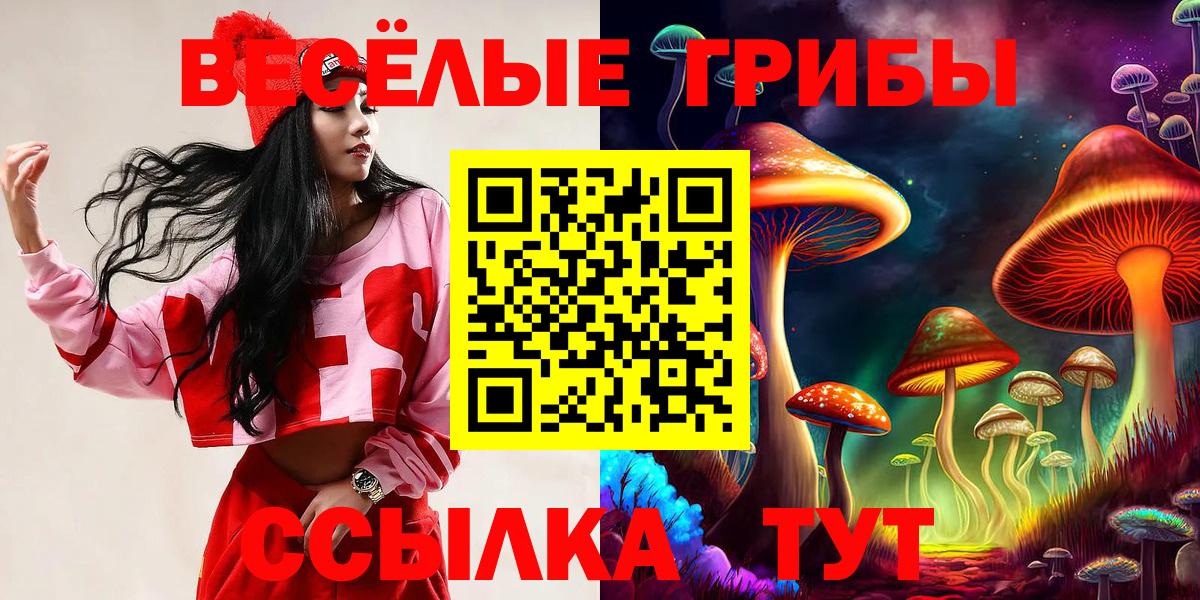 Галлюциногенные грибы Psilocybine cubensis  сколько стоит  Комсомольск-на-Амуре  Вход с VPN  Галлюциногенные грибы мицелий 